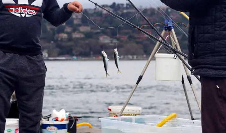 best time to fish for trout