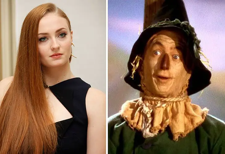 Sansa The Scarecrow