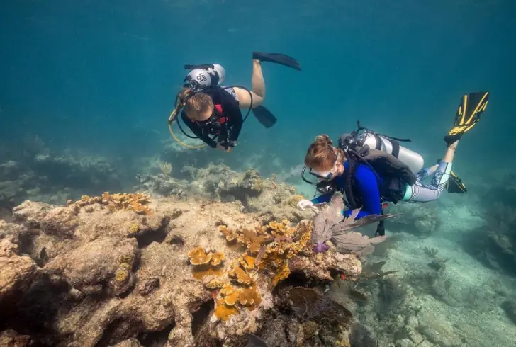 things to do in key west for couples - Take an eco-tour