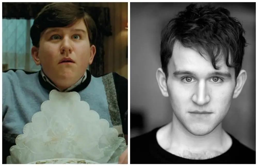 Harry Melling (Dudley Dursley)