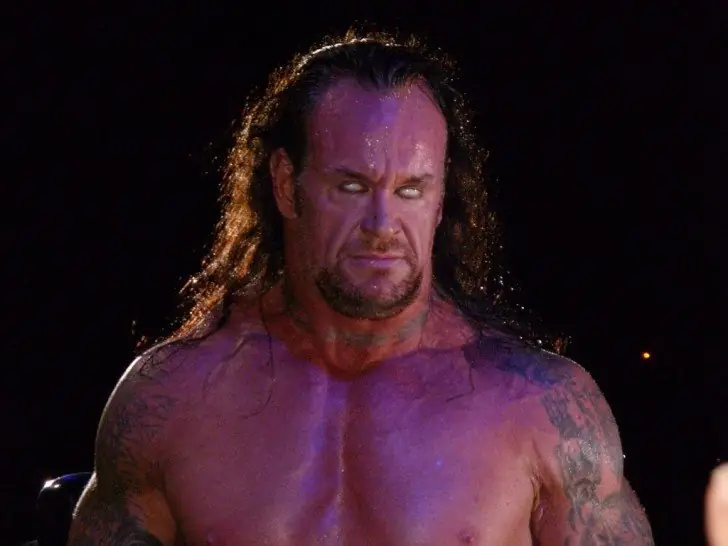 3. The Undertaker